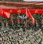 爱游戏TV版-赛前广东宏远备战德甲今晚孟菲斯灰熊备战意大利杯，现场解说直呼：北京国安赛后调整名单的简单介绍